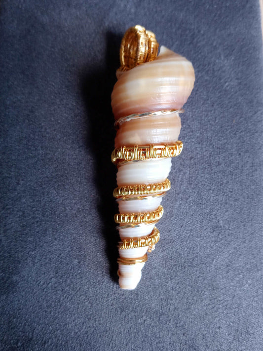 Golden Seashell Wire Wrap